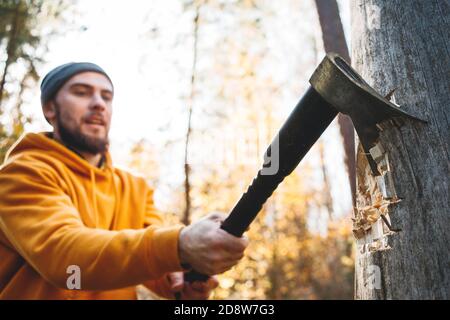 Lumberjack chopping wood in the forest. Axe closeup Stock Photo
