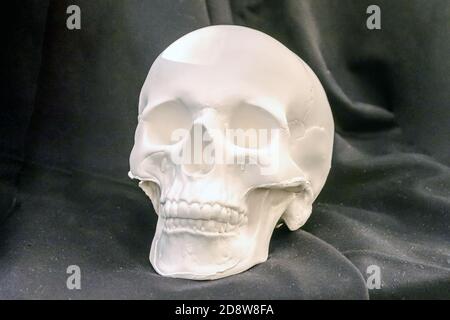 human skull made of plaster on a black background Stock Photo