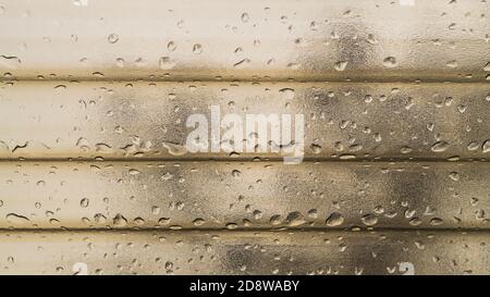 Closeup of polycarbonate corrugated roofing sheet with water drops. Raindrops on plastic striped textured roof covering with visible tree branch shape. Stock Photo