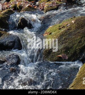 Water cascading over rocks in a forest stream in autumn Stock Photo