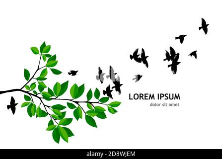 Flying birds from a tree branch. Vector illustration Stock Vector