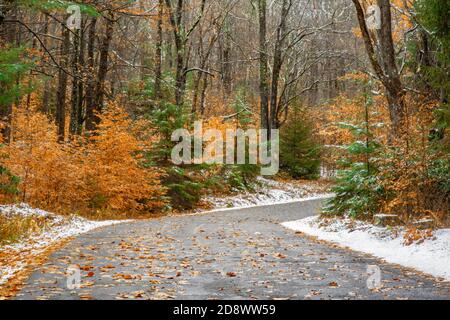 Early Snow Fall on a Rural Road in Pennsylvania’s Pocono Mountains Stock Photo