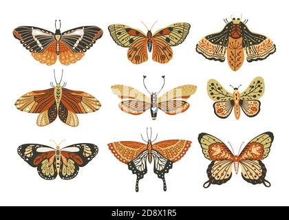 Boho vector art design with bohemian butterfly. Isolated insect icon set, hand drawn illustration ornate collection on a white background. Stock Vector