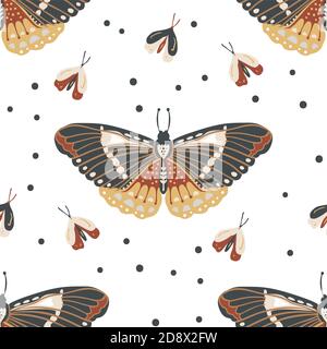 Moth Wallpapers  Top Free Moth Backgrounds  WallpaperAccess