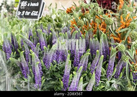 flower and plants for sale at columbia road flower market in London Stock Photo