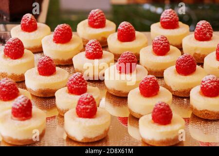 new york cheese cake in a food display with raspberry garnish Stock Photo
