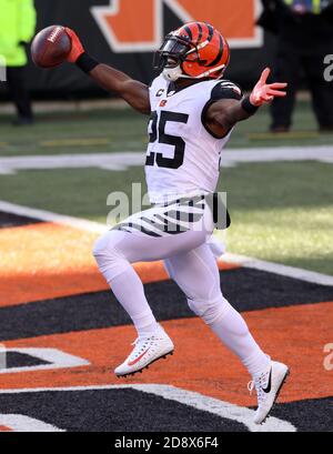 Cincinnati Bengals defeat the Tennessee Titans, 31-20, behind two  touchdowns from Giovani Bernard