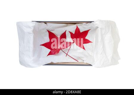 Opened shoes box with crumpled wrapping paper and red autumn leaves top view isolated on white Stock Photo
