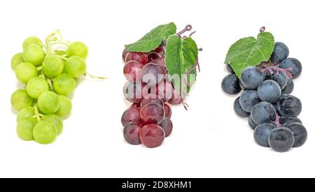 Bunch of Black and Red Grape with Green Seedless Grape isolated on white backgrounds. Stock Photo