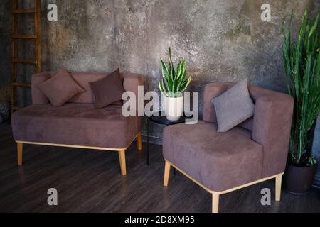 sitting area with brown sofas and pots of juicy greenery Stock Photo