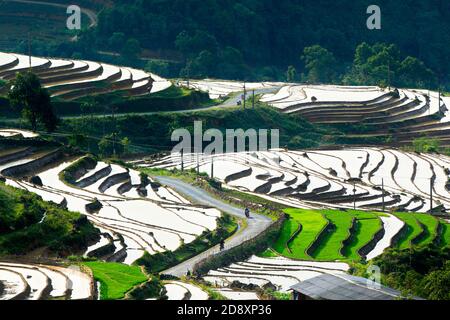 Terraces in Y Ty full of natural water from mountains before planting season. Stock Photo