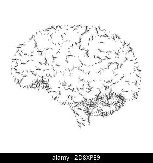 Abstract brain with ants instead of convolutions. For printing on T - shirt Stock Vector