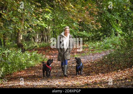 EDITORIAL USE ONLY Gemma Atkinson walks her dogs Sproodle Norman (left) and Cocker Spaniel Ollie in Old Kay's Park, in Bury, Lancashire, to announce the PURINA BETA Real Dogs Campaign. Stock Photo