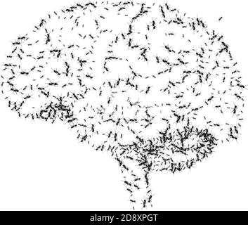 Abstract brain with ants instead of convolutions. For printing on T - shirt Stock Vector