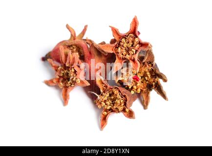 Pomegranate Dried Fruit setting isolated on white background. Stock Photo