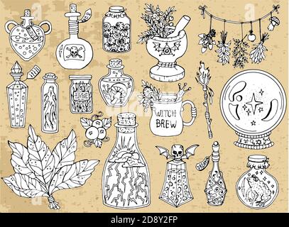 Set of scary Halloween traditional symbols and objects with witch bottles, crystal ball, herbs and magic potion.  Hand drawn vector illustration for c Stock Vector