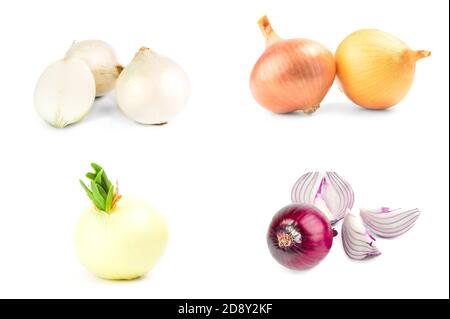 Collection of Fresh onion bulbs isolated on a white background with clipping path Stock Photo