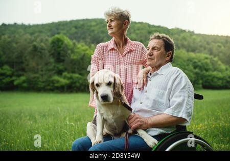 Senior couple with dog on a walk on meadow in nature, resting. Stock Photo