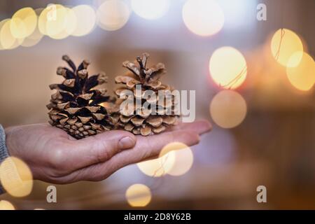 Close-up of hand of mature man indoors at home at Christmas, holding pine cones. Stock Photo