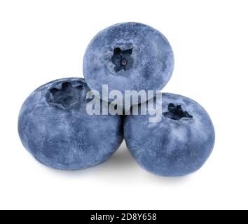 Freshly picked blueberries isolated on white background. Wild berries Macro Stock Photo