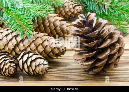 Various cones on wooden background Stock Photo