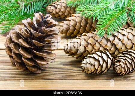 Various cones on wooden background Stock Photo