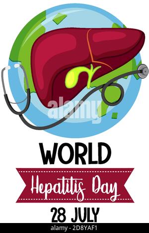 World Hepatitis Day logo or banner with liver and stethoscope illustration Stock Vector