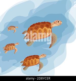 Sea turtles swimming in the water. A set of beautiful turtles in beautiful colors. Clean water, environmental friendliness, turtles of different sizes Stock Vector
