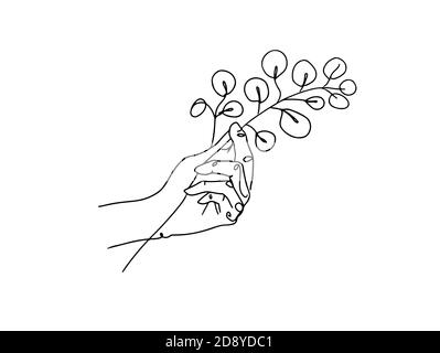 Hand holds eucalyptus silver dollar branch continuous line drawing. One line . Hand-drawn minimalist illustration, vector. Stock Vector