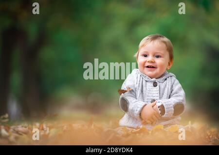 Cute little baby boy play in autumn park with fallen leaves Stock Photo