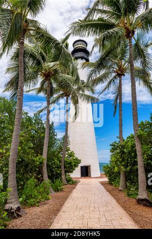 Palm trees around Lighthouse. Cape Florida Lighthouse, Key Biscayne, Miami, Florida, USA Stock Photo