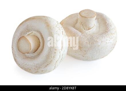 Fresh champignon mushrooms isolated on white background. Two champignons close up Stock Photo