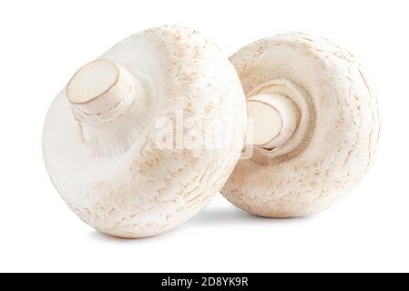 Fresh champignon mushrooms isolated on white background. Two champignons close up Stock Photo