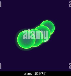 Cocci bacteria cell realistic vector illustration Stock Vector Image ...