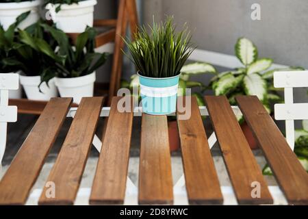 Wooden table with a pot. Wooden table plane Stock Photo