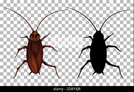 Cockroach on transparent background illustration Stock Vector