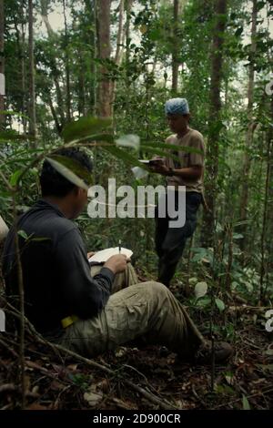 Conservation workers making notes on biodiversity and types of vegetation they have found during a field survey in a forest area which is a part of Ba Stock Photo