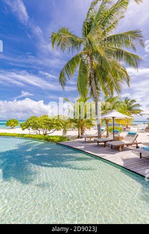 Summer tourism landscape. Luxurious beach resort with swimming pool and beach chairs or loungers under umbrellas infinity pool palm trees, blue sky