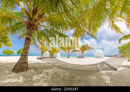 Beach hammock between palms trees cloudy sky, ocean. Sunny paradise beach with palm trees and traditional braided hammock Stock Photo