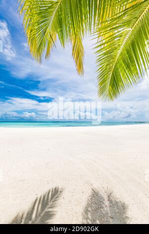 Palm tree leaves over luxury beach. Perfect tropical white sand beach with coconut palm, summer vacation holiday background concept Stock Photo