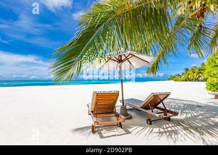 Beautiful tropical beach. White sand coco palms travel tourism wide panorama background. Amazing beach landscape luxury island resort vacation holiday Stock Photo