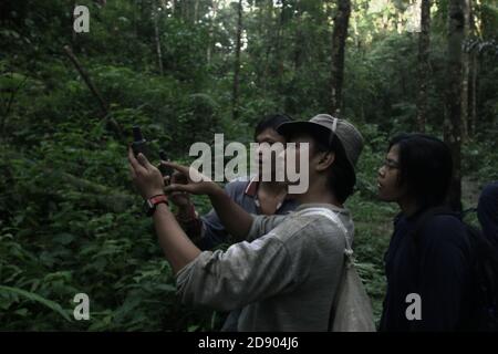 A team of conservation workers conducting a field survey in rainforest area which is a part of the habitat of the fragmented Sumatran orangutan population in Central Tapanuli regency, North Sumatra province, Indonesia. Stock Photo