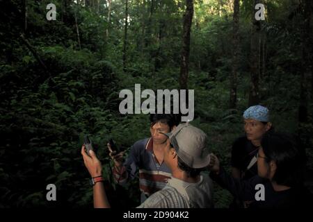 A team of conservation workers conducting a field survey in rainforest area which is a part of the habitat of the fragmented Sumatran orangutan population in Central Tapanuli regency, North Sumatra province, Indonesia. Stock Photo
