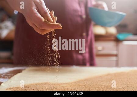 Female hand sprinkles cinnamon on a rolled raw dough for cinnamon buns Stock Photo
