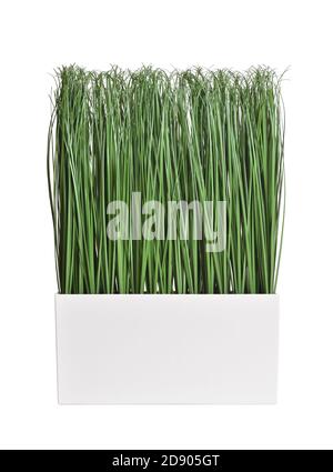 Artificial grass in a pot on a white isolated background Stock Photo