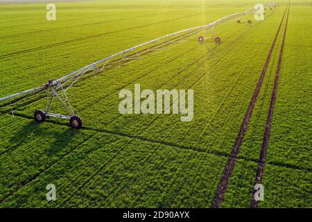 Aerial view of center-pivot irrigation sprinkler in young green wheat field, drone photography Stock Photo