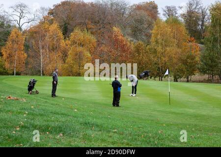 Golfers putting on a golf course near Henley on Thames at the weekend. It is not yet known whether amateur golf will be exempt from lockdown rules but as an outdoor sport that involves little contact the industry is lobbying for an exemption to the England-wide lockdown rules which start on 5 November. Anna Watson/Alamy Live News Stock Photo