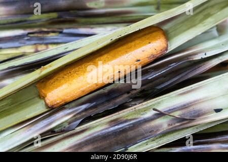 Otak otak, food with fish wrapped in leaf and grilled. Stock Photo