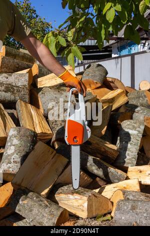 a man holds an electric saw in his hand against the background of sawn stumps Stock Photo