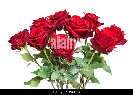 Bouquet of red roses isolated on white background. Stock Photo